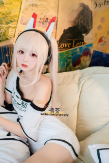 丛林完整版在线看